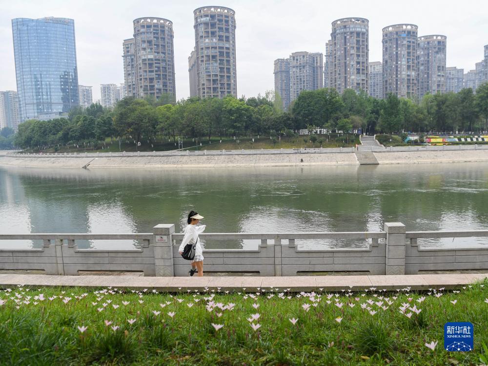 金阳登录